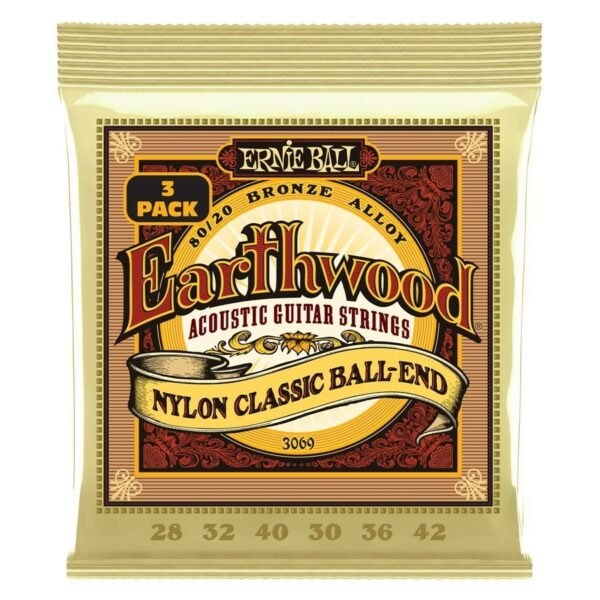 Ernie ball 3069 3pack