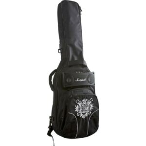 Ernie ball gig bag amp 5940