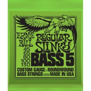 ERNIE BALL REGULAR SLINKY BASS 5 2836 45-130 MUTA PER BASSO ELETTRICO