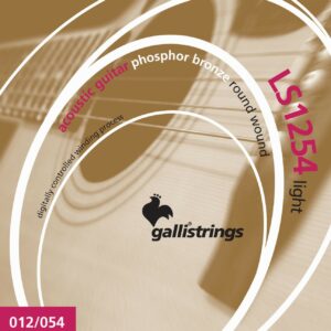 Galli ls1254 phosphore bronze wound