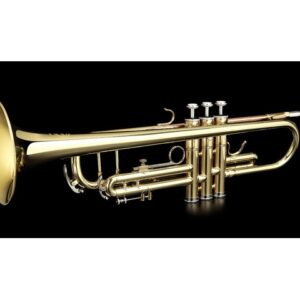 GRASSI TR210 TROMBA SIB LACCATA