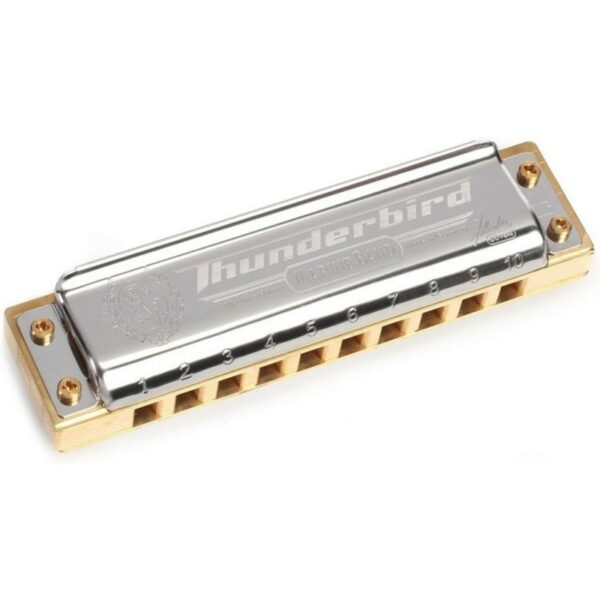 Hohner marine band thunderbird low e