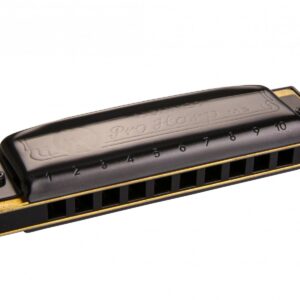Hohner pro harp d in re