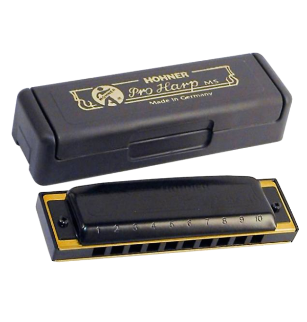 Hohner pro harp e in mi
