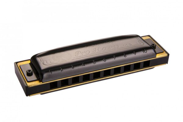 Hohner pro harp g in sol