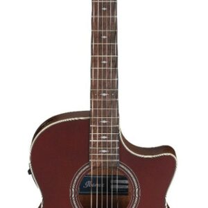 Ibanez ae100-buf