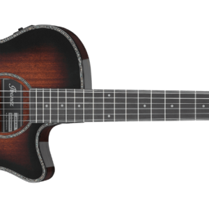 Ibanez aeg74n-mhs