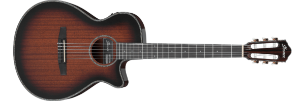 Ibanez aeg74n-mhs