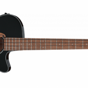 Ibanez aegb24e-bkh