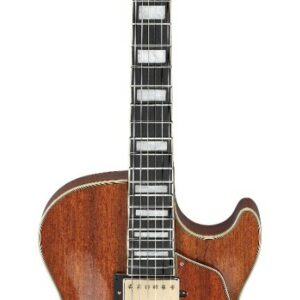 Ibanez artcore expressionist ag95k-nt