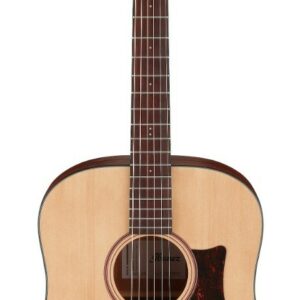 Ibanez artwood aad100eopn