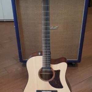 Ibanez artwood aad300ce lgs usato