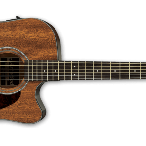 Ibanez artwood aw54ce-opn
