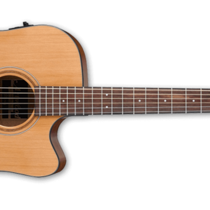Ibanez artwood aw65e ce lg