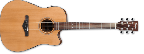 Ibanez artwood aw65e ce lg
