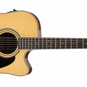 Ibanez artwood aw70ece-nt