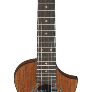 Ibanez ewp12ew-opn