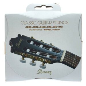 Ibanez icls6nt