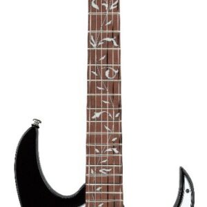 Ibanez jem jr bk