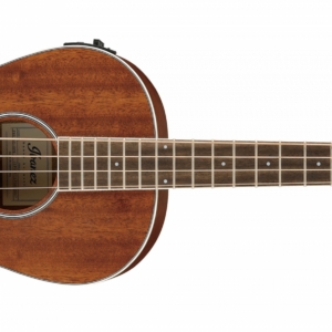 Ibanez pnb14e-opn