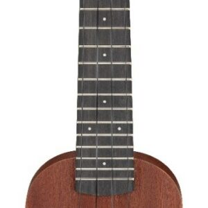 Ibanez uks100 opn