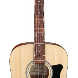 Ibanez v40-opn