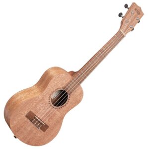 Kala ka-20t