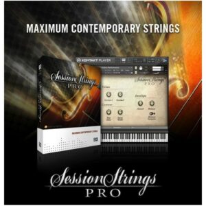 Native instruments session strings pro