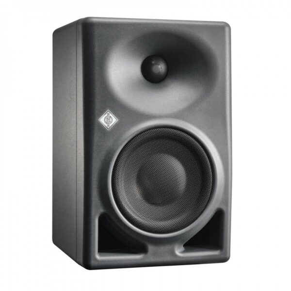 Neumann kh 120 ii (singolo)