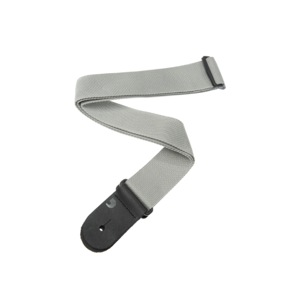 Planet waves pws105 argento