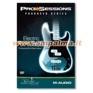 Pro session electric bass rock