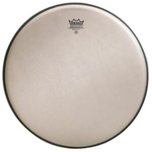 REMO RA0012SS AMBASSADOR RENAISSANCE 12″