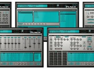 Rob papen punch