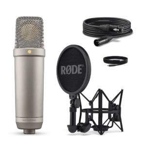 Rode nt1 5th generation silver