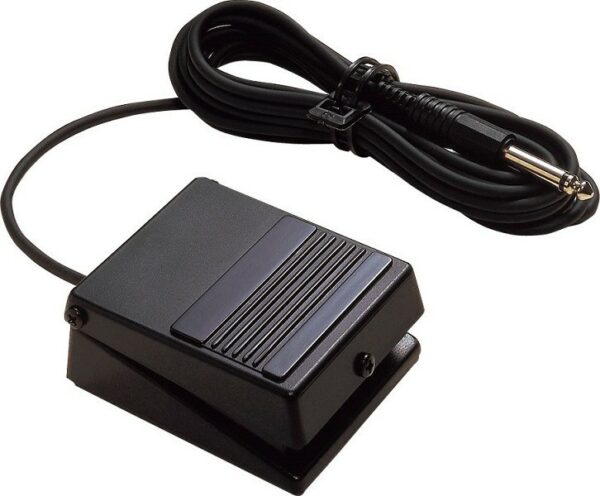 Roland dp-2