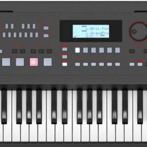 Roland e-x50 arranger keyboard