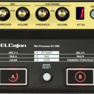 Roland ec-10m elcajon mic processor