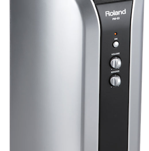 Roland pm-03 personal drum monitor