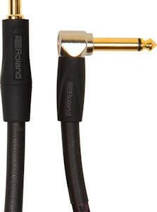 Roland ric-g10a gold series