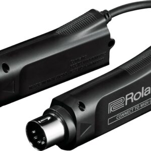 Roland wm-1