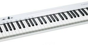Samson carbon 61