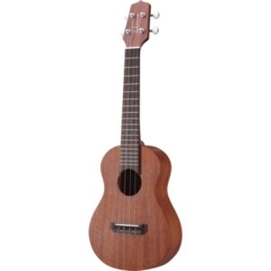 TAKAMINE GUS1 CHITARRA ACUSTICA