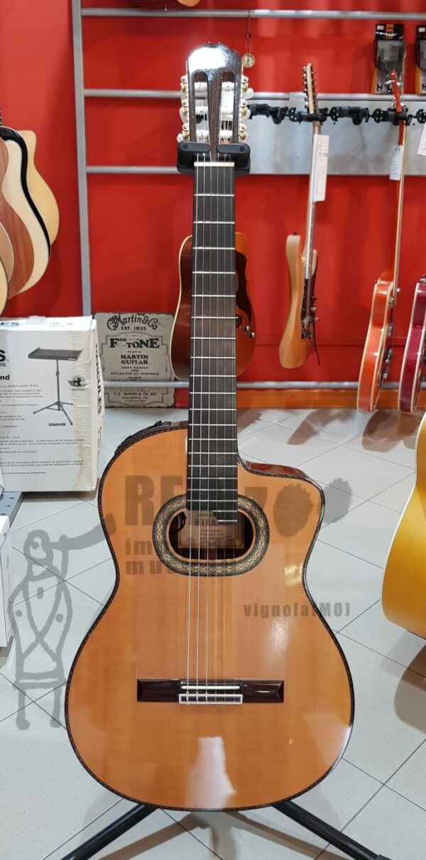 Takamine TH90 con custodia rigida (corde e plettri in omaggio) -usato in garanzia-