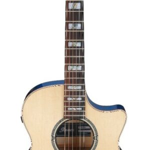 Ibanez ae390nta natural high gloss top