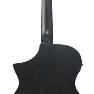 Ibanez aewc621-bot