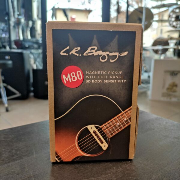 L.R. BAGGS M80 3D Sound Hole Pick up