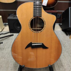 BREEDLOVE Tone Test C25/SRE -Usato in garanzia-