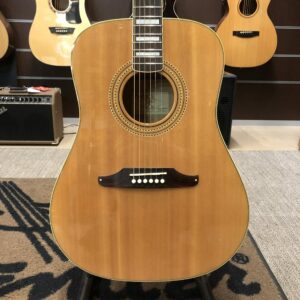 FENDER ELVIS KINGMAN – USATO IN GARANZIA –