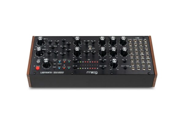 Moog labyrinth