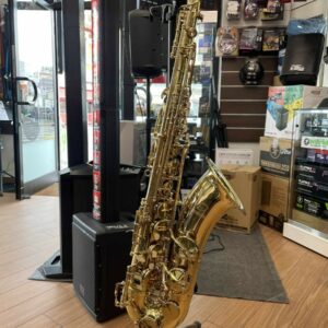 Sounsation stnsx-20 usato